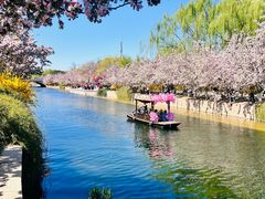 -元大都城垣遗址公园