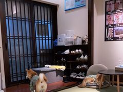 -逗柴咖啡屋·狗咖猫咖宠物桌游