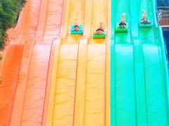-重庆海昌加勒比海水世界