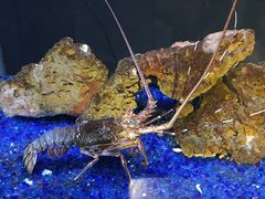 -海合安武汉极地海洋公园