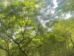 -黄公望隐居地