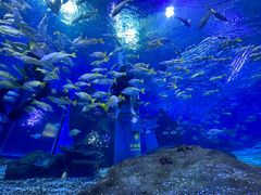 -海合安武汉极地海洋公园