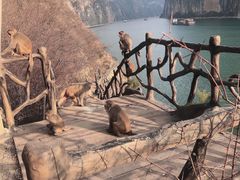 -白帝城·瞿塘峡景区