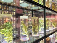 -广东中医药博物馆
