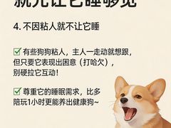 -瑞鹏宠物医院·骨外科·心肾科·肿瘤科(九亭店)