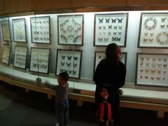 -陕西自然博物馆