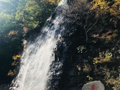 -龙道沟景区