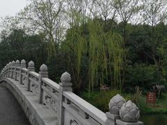 -自然谷恐龙园