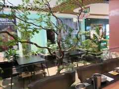 -大神太神·铁板烧(七宝领展广场店)
