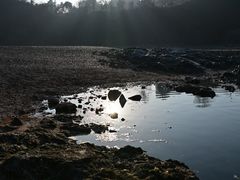 -渔梁坝