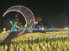 -国际非物质文化遗产博览园
