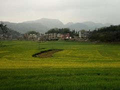 -牛街螺丝田