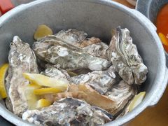 -大湾金牌万州烤鱼(沙河店)