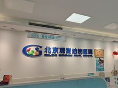 -北京观赏动物医院·24小时大型综合·猫专科·异宠专科