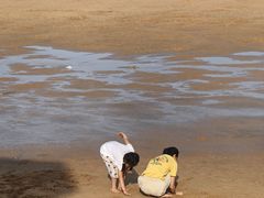 -日照海滨国家森林公园