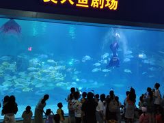 -福州罗源湾海洋世界旅游区