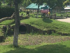 -田园东方蜜桃村的田野营地