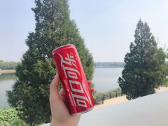 -素心小筑(后沙裕镇店)