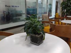 -牛学教育雅思托福PTE·小语种培训(小寨校区)