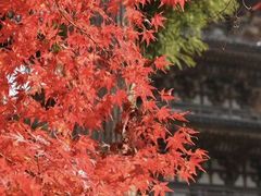 -醍醐寺