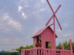 -紫颐香薰山谷景区