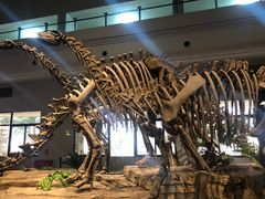 -自贡恐龙博物馆