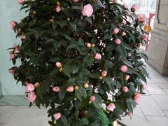 -武汉汉口火车站东方建国大酒店