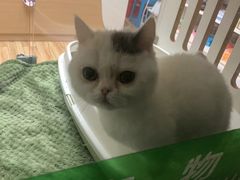 -爱侣宠医·鹦鹉专科·小型哺乳类·异宠专科(灵石路店)