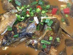 -陈厨老家菜馆(新苑店)