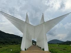 -风云岭森林公园
