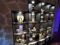 -雪灵魔法世界SHELLY’S TAROT(大良桂畔里店)