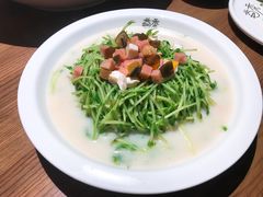 -首秀·四川料理(星耀101店)