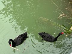 -广州白江湖森林公园