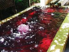 -春晖园度假酒店温泉