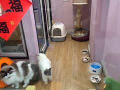 -联合动物医院(光谷诊疗中心)