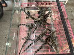 -天津君隆威斯汀酒店