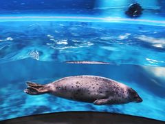 -青岛海底世界-水族馆