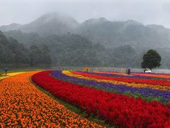 -广州市石门国家森林公园