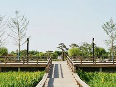 -汉长安城未央宫国家考古遗址公园