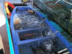 -蓝湾碧波·老字号·疍家非遗海上餐厅