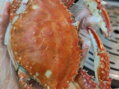 -大锅强·蒸海鲜青岛菜(吾悦广场店)