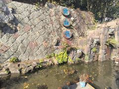 -千岛湖东南湖区