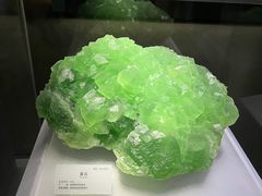 -湖南省地质博物馆