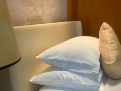 -苏州金鸡湖大酒店