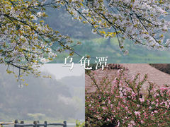 -龙坞茶村
