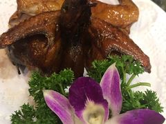 -鸽鸟轩(石岐店)