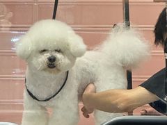 -FAELING PETS美天灵宠物(合生汇店)