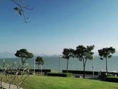 -深圳湾公园(南山区)