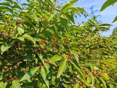 -白水寺森林公园