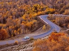 -塞罕坝国家级自然保护区